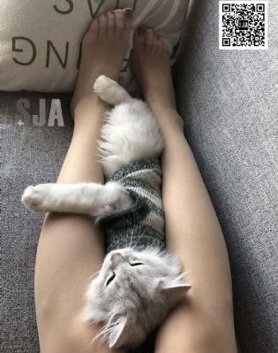 慈禧邱淑贞