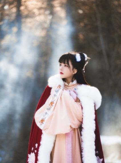 窈窕淑女在线观看全集