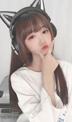 驯龙高手(国语版)