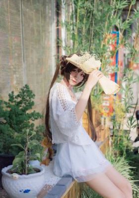 女人当家40集免费播放